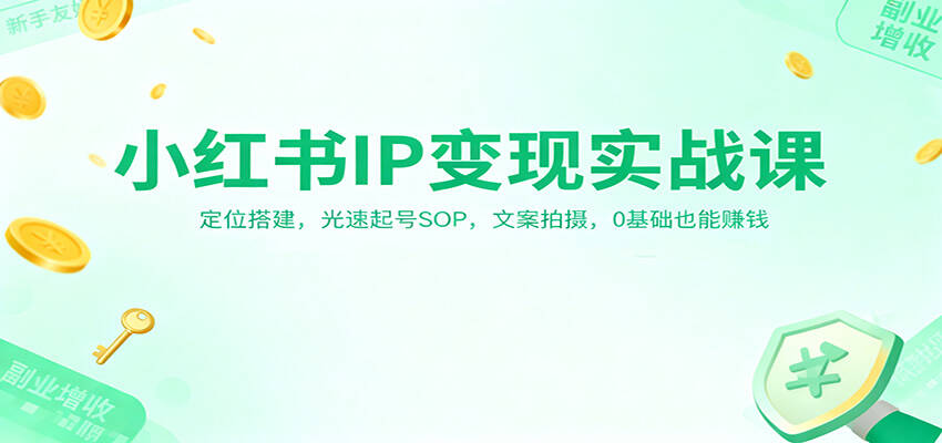 小红书IP变现实战课：定位搭建，光速起号SOP，文案拍摄，0基础也能赚钱