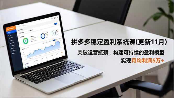 （16641期）拼多多稳定盈利系统课(更新11月)，突破运营瓶颈，构建可持续的盈利模型，实现月均利润5万+
