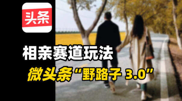 微头条“野路子3.0”相亲赛道玩法，搬砖式操作单号稳定3张