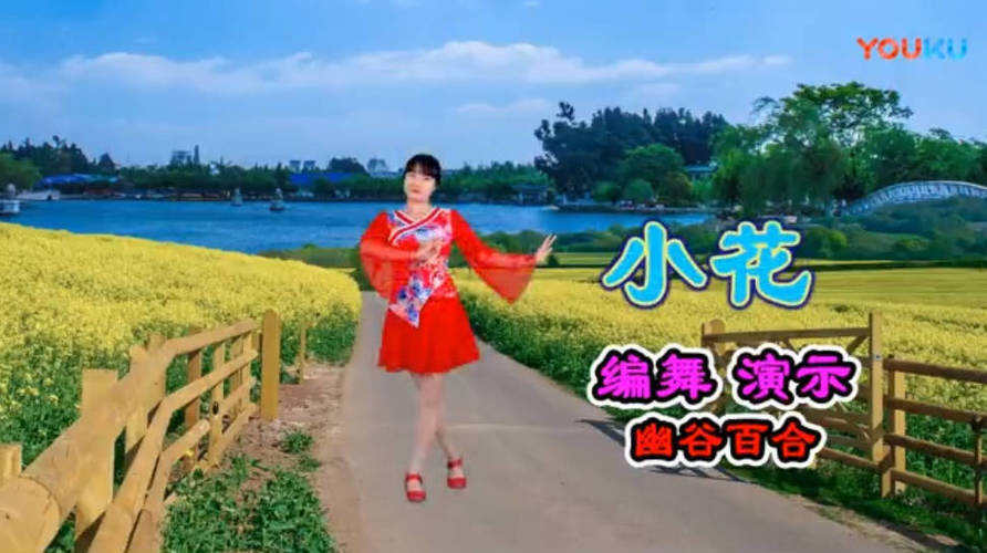 精选高清广场舞视频教学合集500首-趣奇资源网-第4张图片