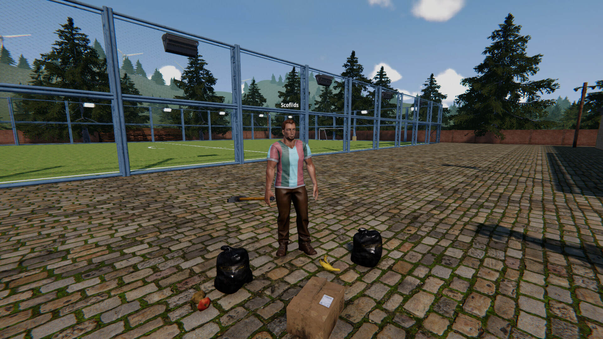 《足球场模拟器》Build.20362264-趣奇资源网-第5张图片