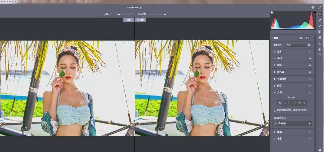 RAW处理Adobe Camera Raw v18.2.0中文版